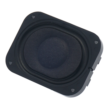 Customized Speaker-OSS38-4030-6A2.0W4